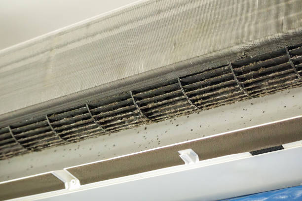 Best Home Air Vent Cleaning  in Lyndhurst, OH